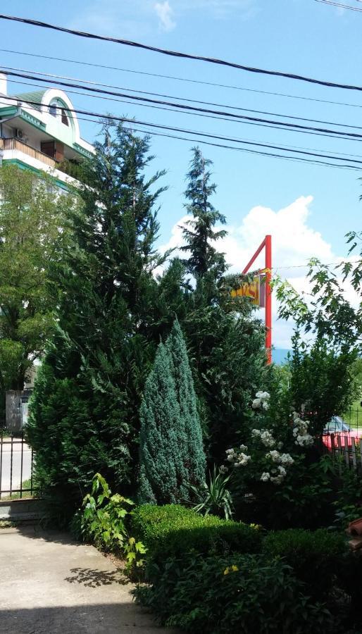 M4U Apartments Ni Esterno foto