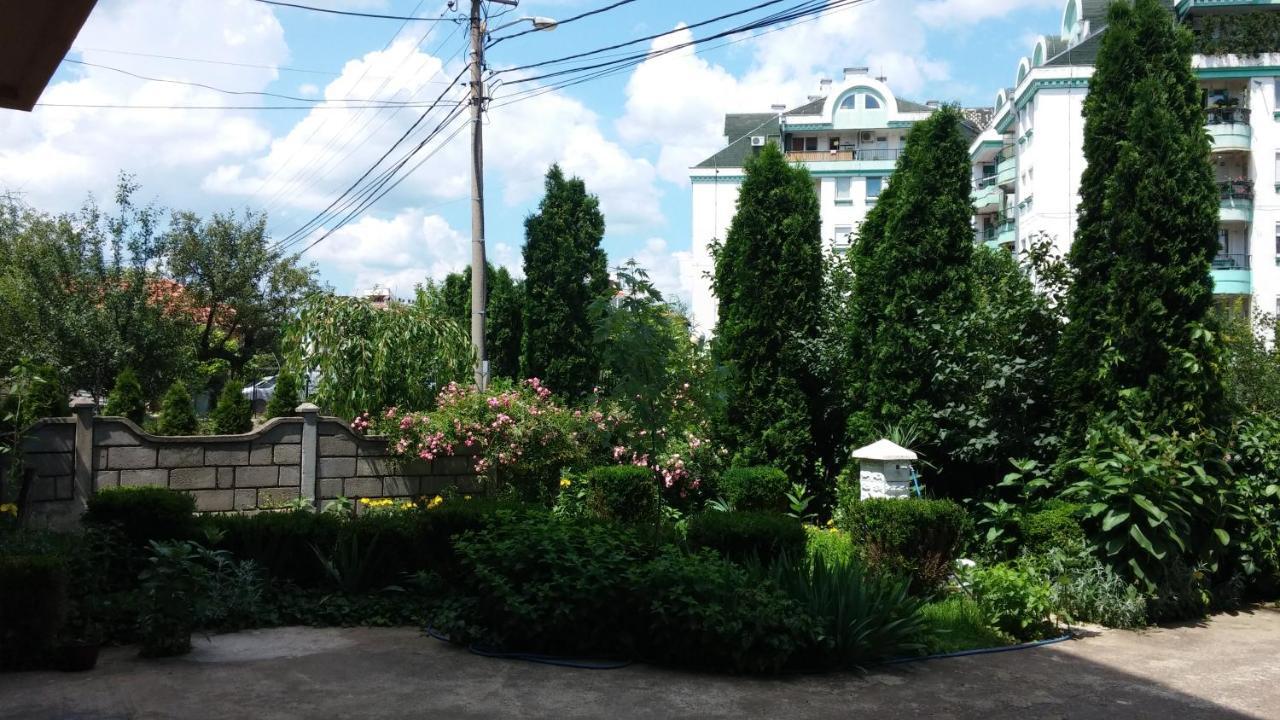 M4U Apartments Ni Esterno foto